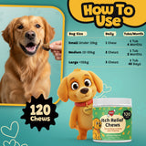 Itch Relief Chews happy dog with shiny coat