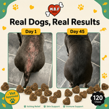 Itch Relief Chews