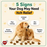 Itch Relief Chews