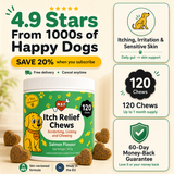 Itch Relief Chews