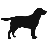 Large breed