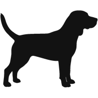Medium breed