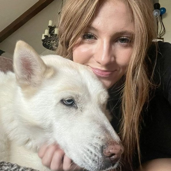Golden retriever scratching