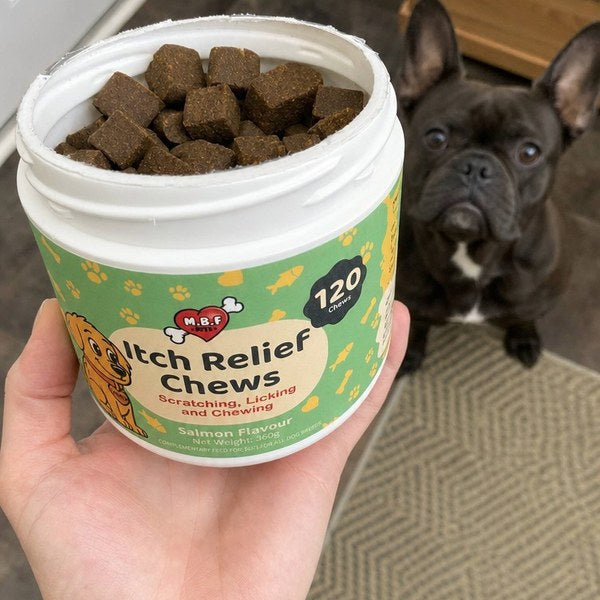 Customer photo: dog with Itch Relief Chews tub