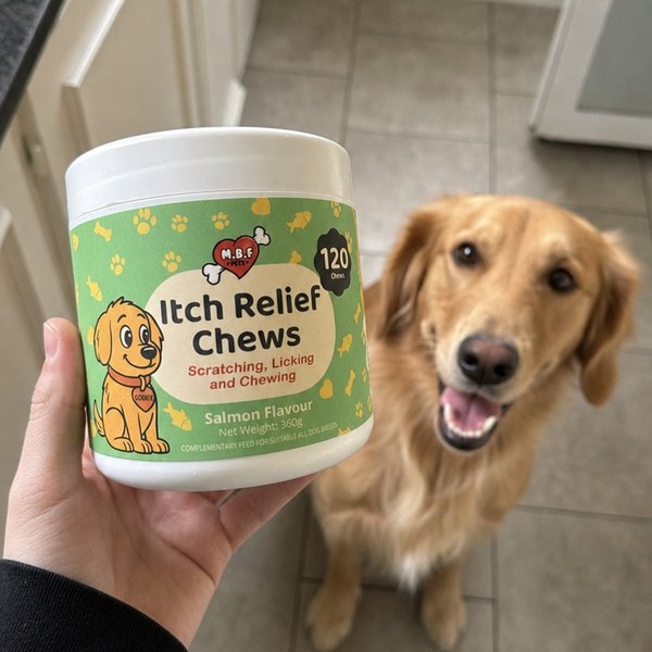 Customer photo: staffie puppy with Itch Relief Chews tub