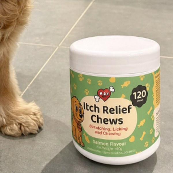 Customer photo: border collie with Itch Relief Chews tub